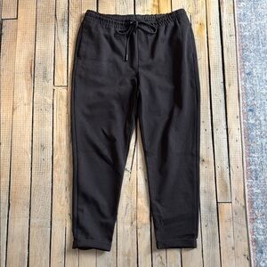 Men's Dark Brown Zara Jogger Pant